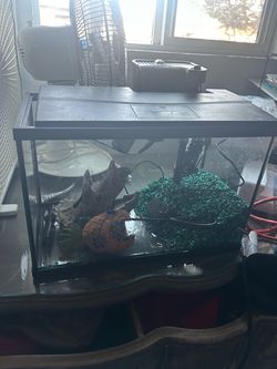 Fish tank