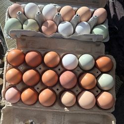 Pasture Raised eggs