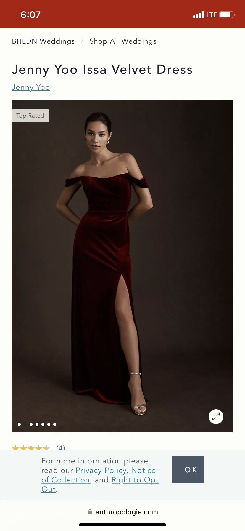 Dress Jenny Yoo Issa Velvet