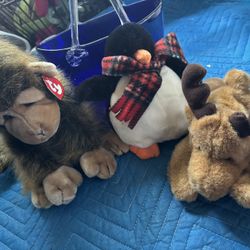 Beanie Babyies