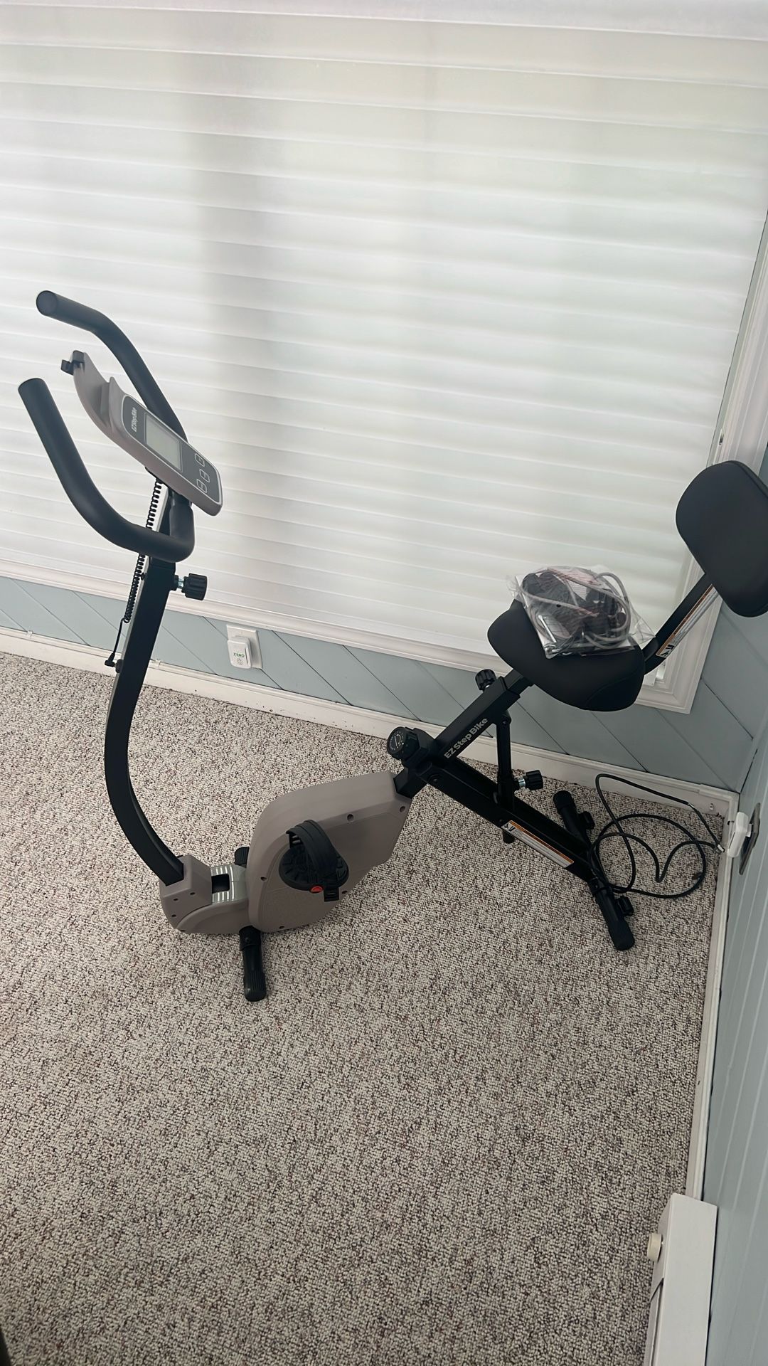 EZ Step Bike