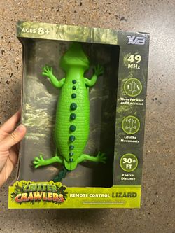 Remote Control Lizard