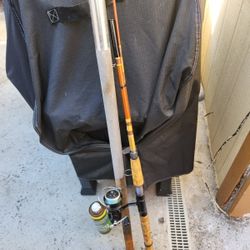 Fishing Pole With A Mitchell 300A Reel
