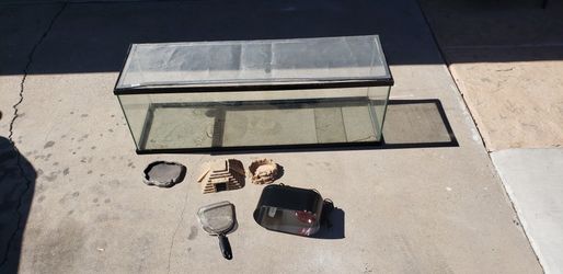 Reptile Tank with Accessories