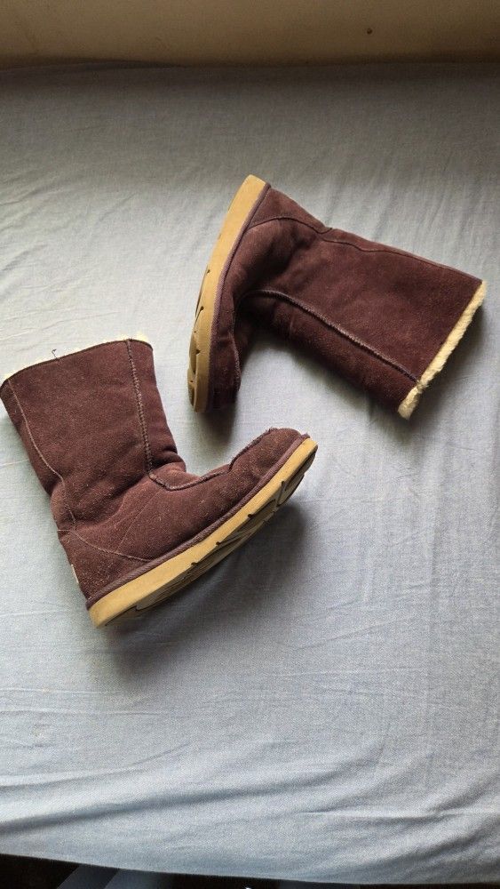 Plum Uggs