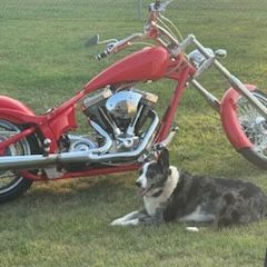2008 Big Dog  Red S&S  117 Motor 
