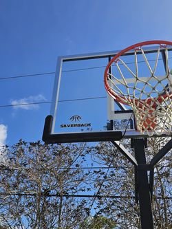 Basket