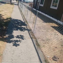 Fence 