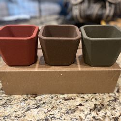 NEW!!  3 Pc Adorable 4” Potting Plants $7 (#113