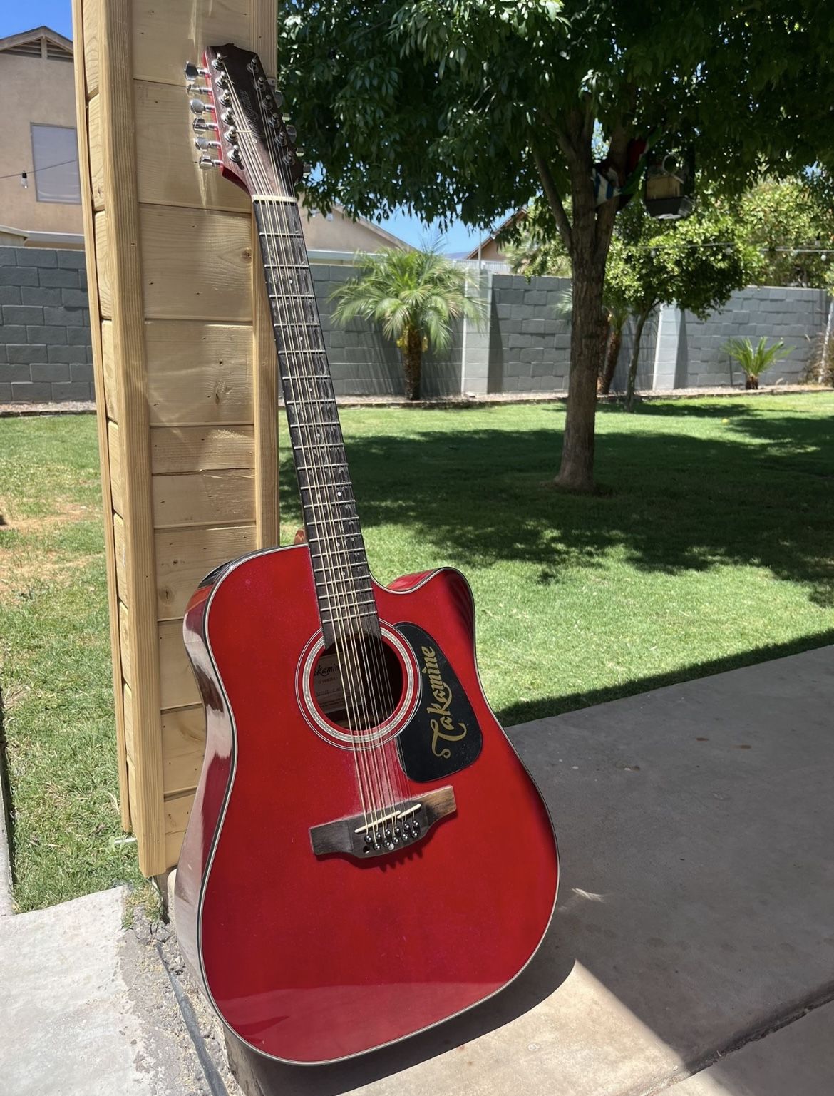 12 String Takamine
