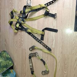 Safety Harness