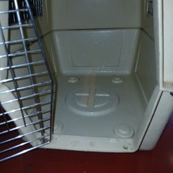 Pet Carrier / Older Model But Works Great