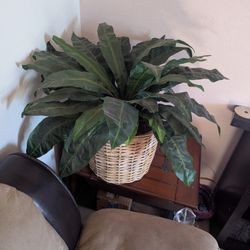 Bird's Nest Artificial Plant