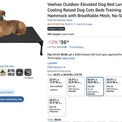 Elevated Dog Bed 42x30 - Good Used Condition