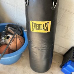 Everlast punching bag