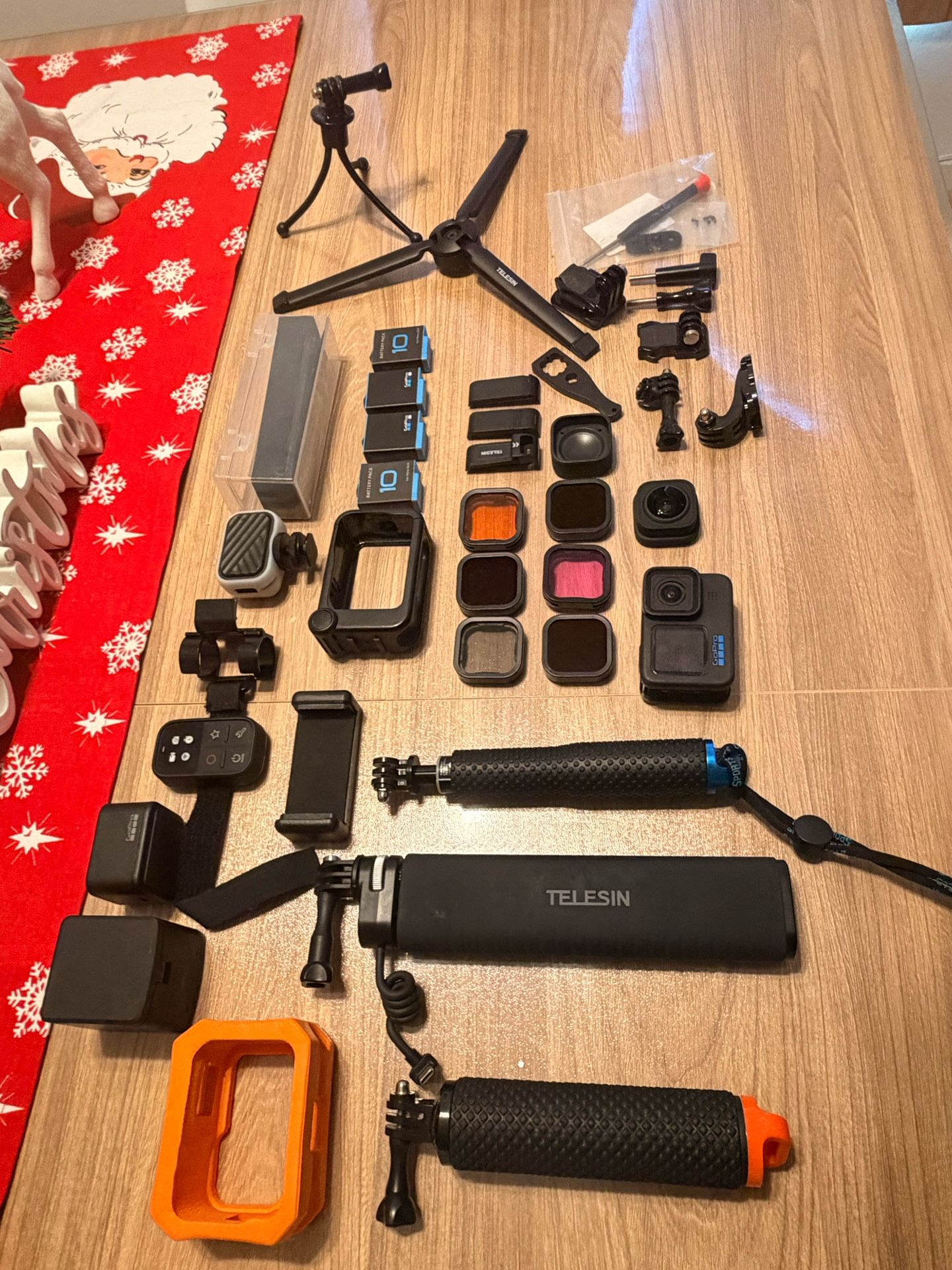 Go Pro 10 Black Large Bundle