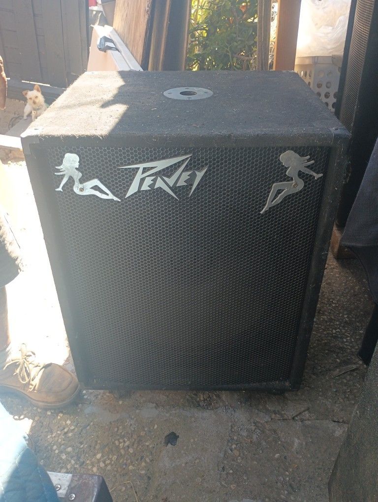 Bass PV118D Peavey Powered 18 Inch 600 Watts RMS 1200 Watts Peak In Good Condition