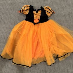 Girl Halloween Costume (2-3yr)