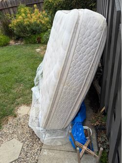 Queen Matress
