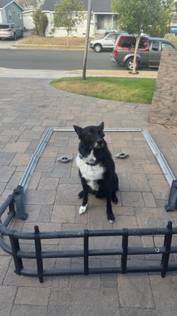 06 Nissan frontier bed rails extender and two  Utili-track Bed Tie Down Cleat. (Dog not included)