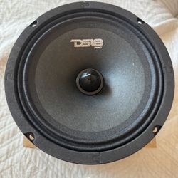 DS18 6.5 Speakers And Single Din Combo