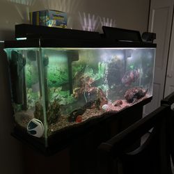 Fish Tank With Stand Pick Up Only