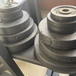 bench press, squats rack & weights