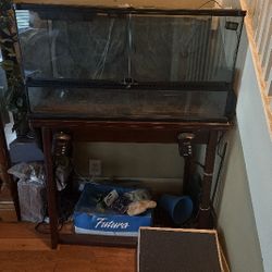 Reptile Enclosure 