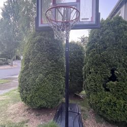Free Full Size Adjustable Mobile Basketball Hoop
