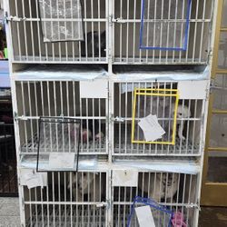 White 6 Cage Cagebank