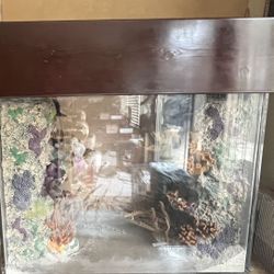 Reef 150  Gallon 