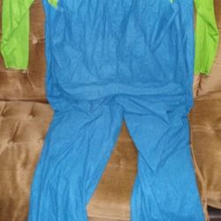 Luigi Costume 