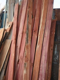 Cedar Slabs  for garden beds