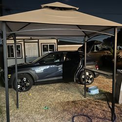 Carpa chica para asador