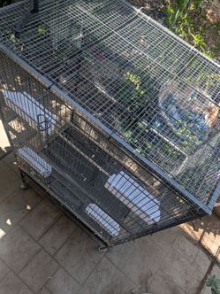 XL Bird Cage/Jaula