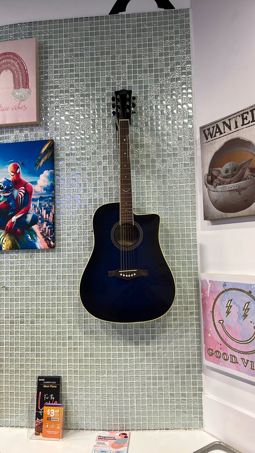 New Eko Electric Acoustic Guitar