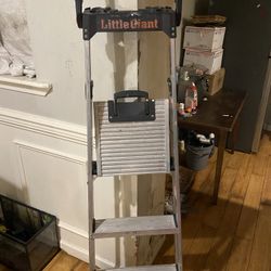 Little Giant Ladder 