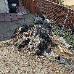 Stump Removal