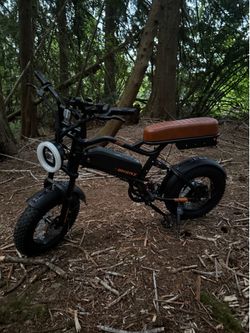 E bike