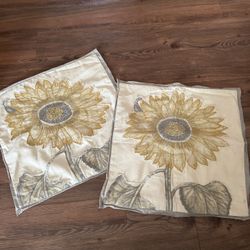 Pottery barn Pillow Covers (2)
