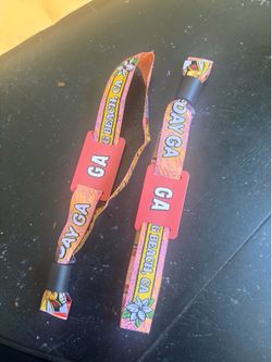 2 Day GA Warped Tour wristbands