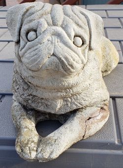 Pug Statue And Picture With Frame