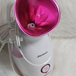 Facial Steamer