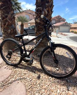 TREK Mountain Bike – Excellent Condition – Ready to Ride