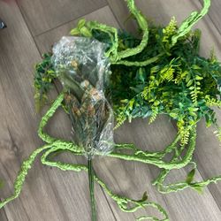 Greenery For Lizard $1