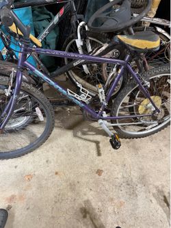 Adult bikes