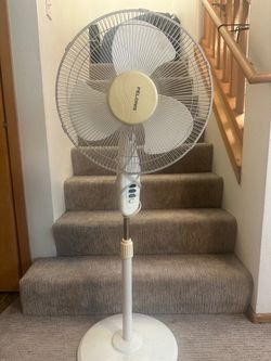 Fan