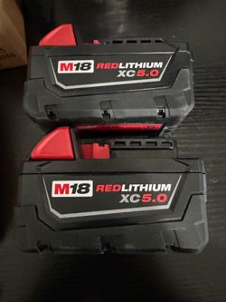 2 Milwaukee 5.0 batteries and charger