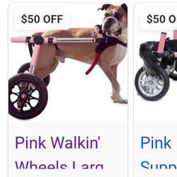 Dog Wheelchair