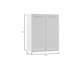 Designer Series Melvern 24 in. W x 12 in. D x 30 in. H Assembled Shaker Wall Kitchen Cabinet in Whit